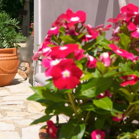 Apartment Domenica Apts I Laganas